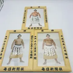 千代の富士　ミニチュア　優勝額　毎日新聞社　3枚セット