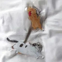 町田尚子 猫 キーホルダー 2つセット