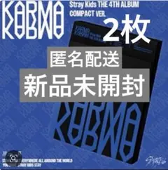 stray kids KARMA