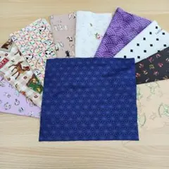★A129★ カットクロス/プリント生地/国産/25cm×25cm/10点