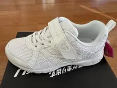 Item thumbnail for item f216d9a1-2771-4808-8172-de4ab1b343cb