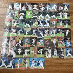 プロ野球チップス　2008年66枚セット