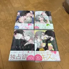 いっそあなたがトドメを刺して 瀬戸めぐむ 1〜4巻