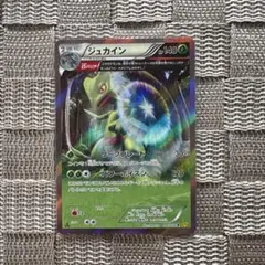 ポケモンカード【ジュカイン】　XY5 2014年