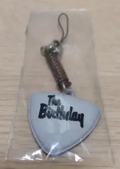 The Birthday チバユウスケ 本人使用ピック Fender - チバにもらったピック チバユウスケ ギター ピック The