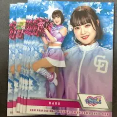7枚すべて HARU はる