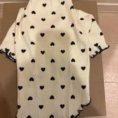 Item thumbnail for item 4c2ea79c-45df-42f5-bd42-63321519e414