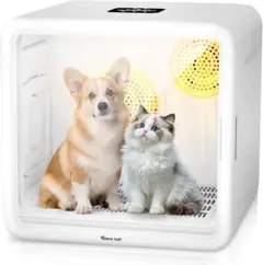 Item thumbnail for item 6889b227-3313-47fa-b565-a5053bf79c02