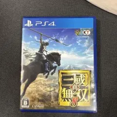 真・三國無双8