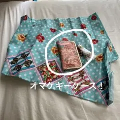〈今だけ早い者勝ちSALE〉ジョリーポム 水色　ドット生地＆毒いちごキーケース