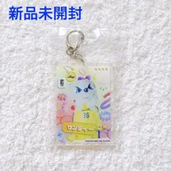 【新品未開封】Bリーグ マスコット オンラインくじ アクリルキーホルダー