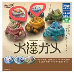 大陸ガメ　オーストラリア大陸+南極大陸　２種セット