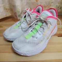 Item thumbnail for item 76c0676d-e0ca-4af8-a0ac-0c31df559773