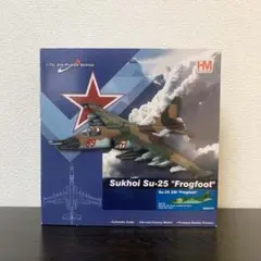 内箱未開封】HOBBY MASTER F-14A トムキャット HA5215 - メルカリ