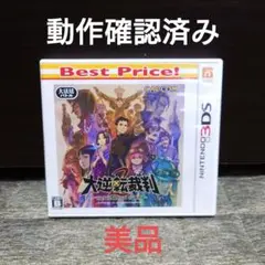【極美品】ニンテンドー3DS 大逆転裁判2