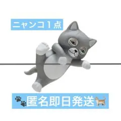 PUTITTO ヒグチユウコ ガチャガチャ　ニャンコ
