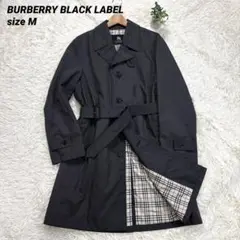 Item thumbnail for item 025d61a1-2902-4a82-a4de-cb94023d1162