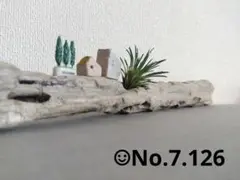 ☺︎No.126 流木　約40cm