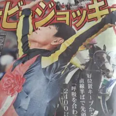 スペシャルウィーク　武豊　天皇賞秋　競走馬　写真　パネル　額縁　スポーツ新聞付き スペシャルウィーク 武豊 天皇賞秋 競走馬 写真 パネル 額縁