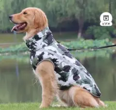 Item thumbnail for item c56115b8-8252-4d09-8ace-c9a572a97dcb