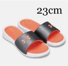 Item thumbnail for item 8c794f71-1093-484b-a853-93b76bc8a5f5