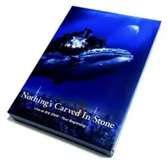 Nothing's Carved In Stone Live 野音 2019