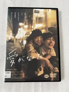 愛がなんだ DVD