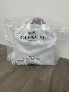 新品未使用！COACH カーゴ トートバッグ26 レインボー