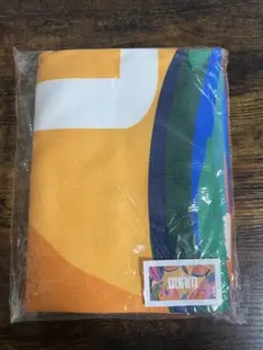 Item thumbnail for item c6378a5d-c62a-4497-96fd-3720fc27e972