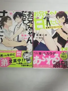 お兄ちゃんだって甘えたいわけで。【単話】