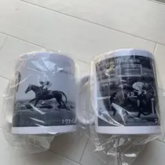 岩手競馬非売品60周年記念マグカップセットスイフトセイダイトウケイニセイ