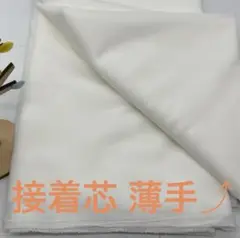 E-536 3m 接着芯 芯地Z 白 薄手⤴︎ 片面接着 アイロン