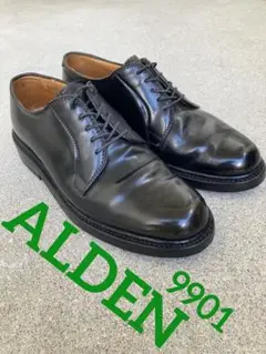 ALDEN 9901 コードヴァン ✳︎希少サイズ