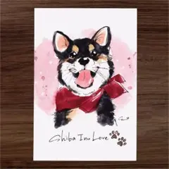 イラスト 原画 ポストカード 絵 【柴犬】98