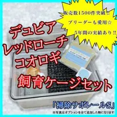 デュビア、レッドローチ、コオロギ用《飼育ケージ》【掃除サボレールS】