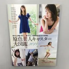 No.34795 原色美人キャスター大図鑑 cent.FORCE Perfect