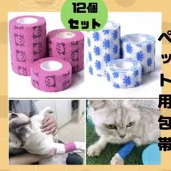 Item thumbnail for item 28a43fdb-6582-4842-8c06-d00020d5f4d5