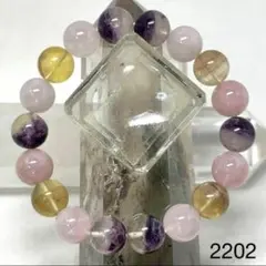 Item thumbnail for item 02cd1c26-3995-4cd6-b6d6-db1e68a46bb2