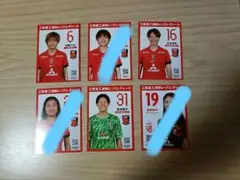 【6枚セット】浦和レッズレディース　プレーヤーズカード