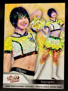 Item thumbnail for item e7e84793-e9f7-4e63-87fd-59206db74b81