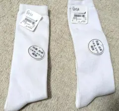 Item thumbnail for item e0906e49-ab8d-4b47-929e-9741eb0f18a4