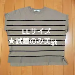 ★試着のみ美品★　モカ×ブラック　ストライプ　半袖ニット　LLサイズ
