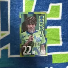 湘南ベルマーレ/22 大岩一貴 /ラッフルくじ/トレーディングカード