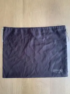 Item thumbnail for item 03a9cea6-3c9f-4dee-b9aa-5dc34d92808f