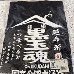 箱根　大涌谷黒たまごTシャツ