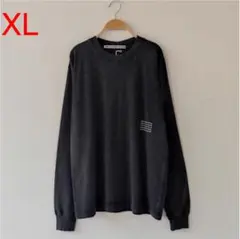 希少 Alexanderwang アレキサンダーワンアシッドロゴロンT