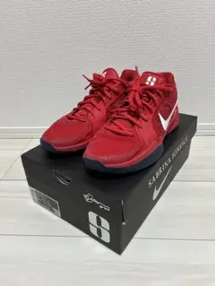 Item thumbnail for item 4de68f8e-dfcc-4c9d-b424-adc36d2f3bb8