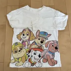 パウパトロール 長袖カットソー