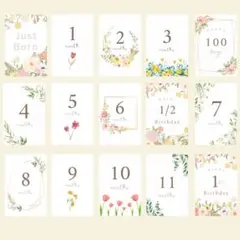 マンスリーカード　月齢カード　はがきサイズ　L判可能　花No.2