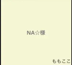 NA☆様専用☆ハンドメイドスタイ